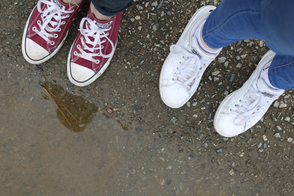 2020, A Year of Failed Expectations