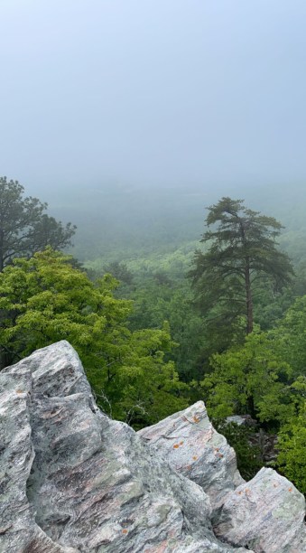 You Were Lovely, My Epistle to&nbsp;2022